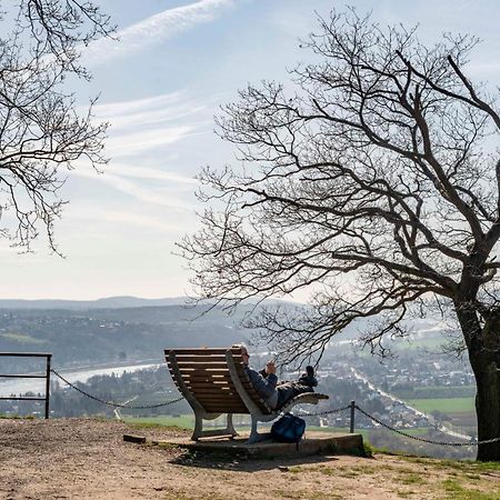 Studio-Loft Siebengebirge Westerwald Erpel Экстерьер фото