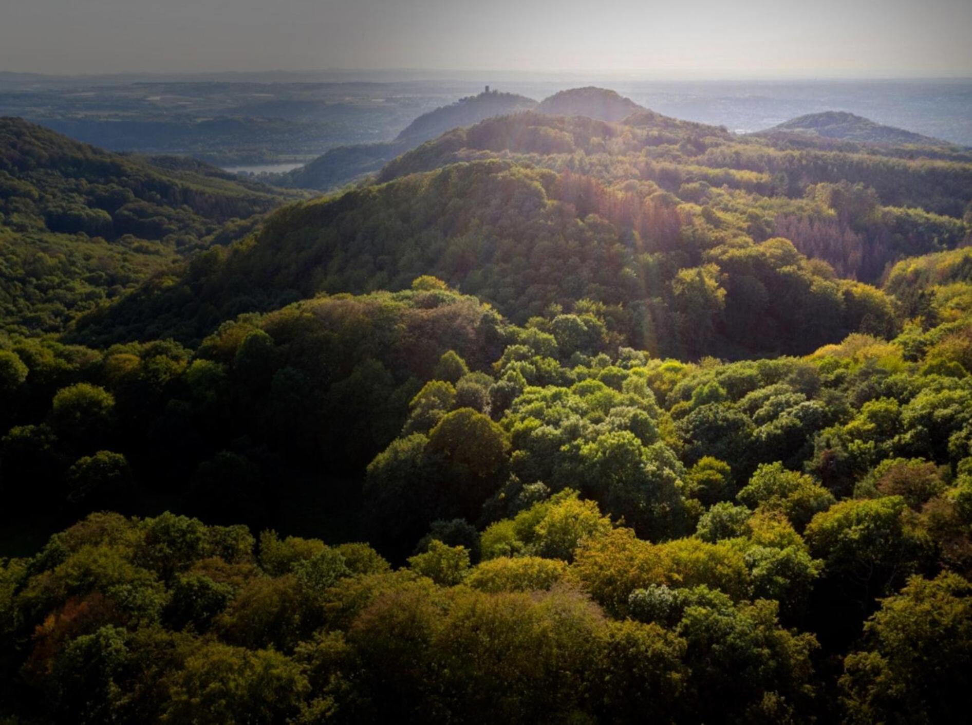 Studio-Loft Siebengebirge Westerwald Erpel Экстерьер фото